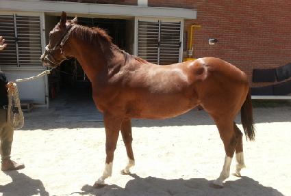 ��ǳ������ ����