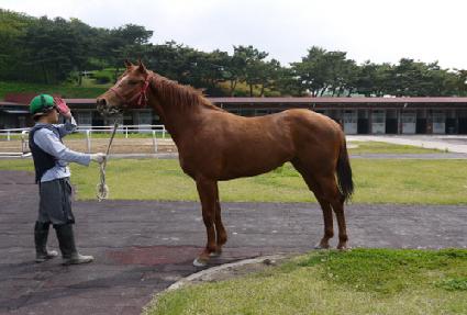 ��������� ����