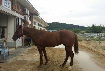 CHEONJUNGWANG picture