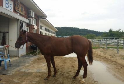 õ�߿� ����