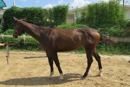 ���۷����� ����