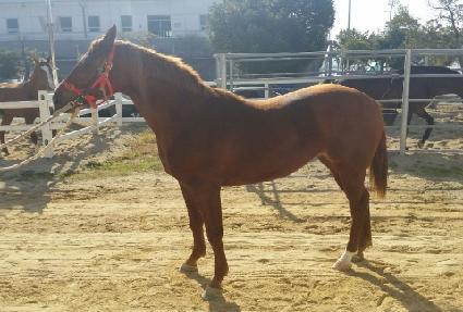 �ø��Ǿ��� ����