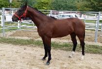 YEONGGWANGUIJANGG picture