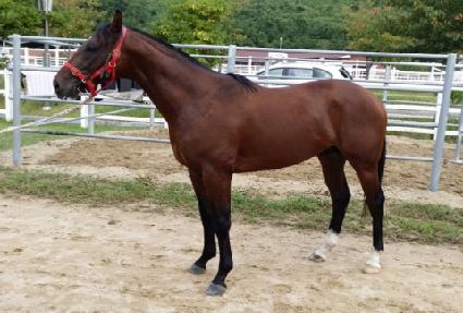 �������屺 ����