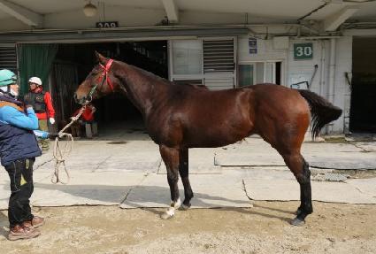 ����Ƽ�� ����