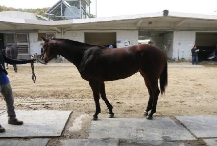 Ȩ������Ŀ ����