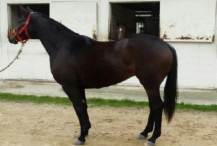 ���ý�Ÿ ����