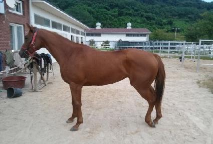 ������Ƽ�� ����