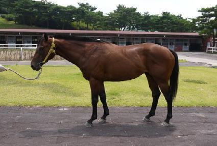 �ð����̽� ����