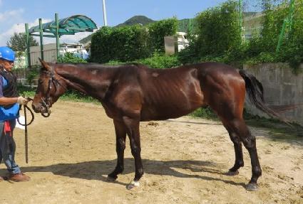 ���̽����� ����