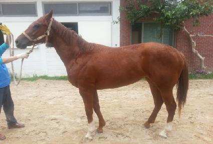 ����ְ� ����