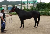 ���ڽ� (GANGJASEUNG) ����