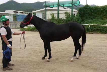 ���ڽ� ����