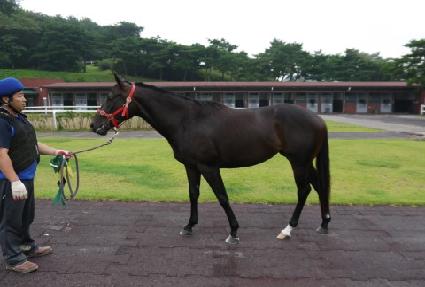 ����Ĺ ����