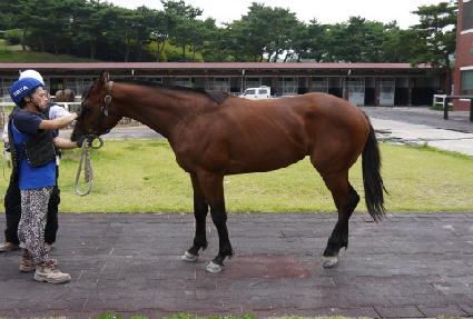 ���� ����