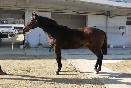 ���򷲺�Ƽ ����