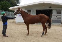 CLEANUP SEED picture