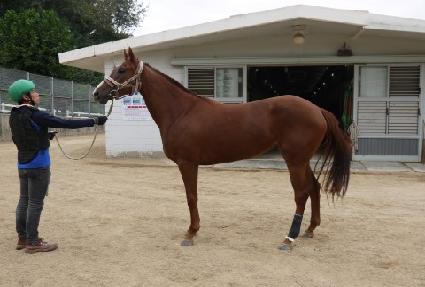 Ŭ�����õ� ����