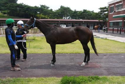 Ŭ�������� ����