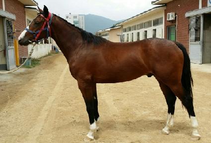 ��Ű���� ����