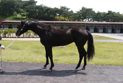 �Ƹ���è�� ����