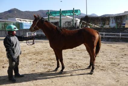 �̼��� ����