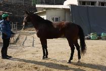 �ٿ� (DAON) ����