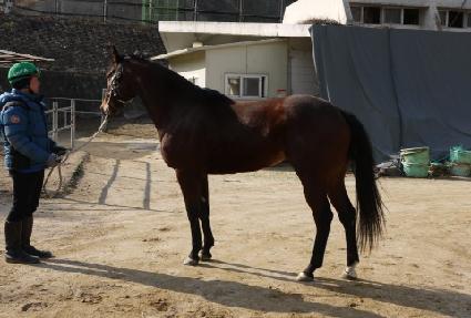 �ٿ� ����