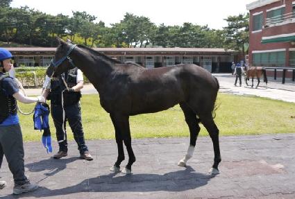 ����� ����