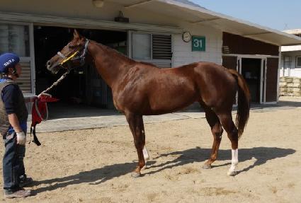 �������� ����