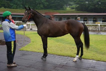 �������� ����