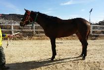 �����¾� (GAMUN TAEYANG) ����