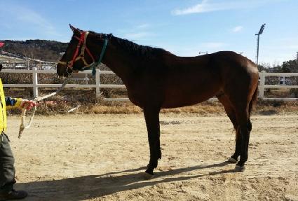 �����¾� ����