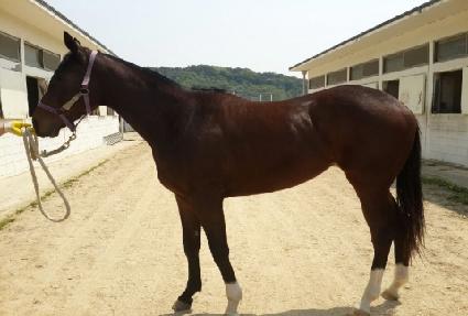 �������� ����