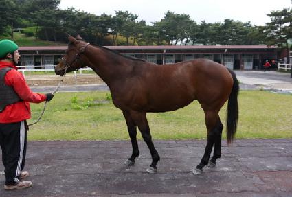 �������� ����