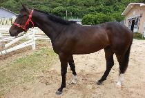 �Ҹ��� (SORICHYEO) ����