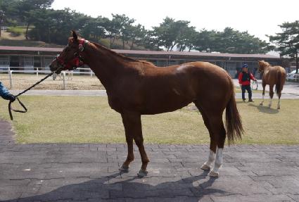 �̹��ǿ��ڸ� ����