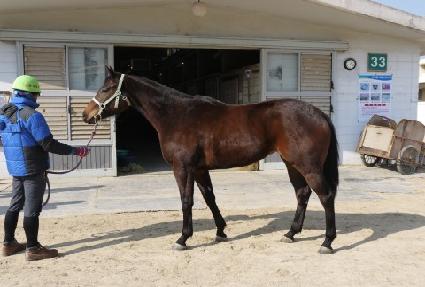 �����丮 ����