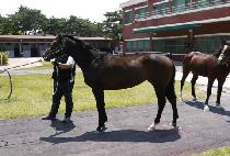 ���꽺�� (Love Storm) ����