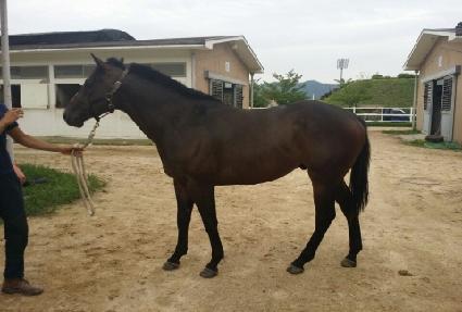 �Ŀ����� ����