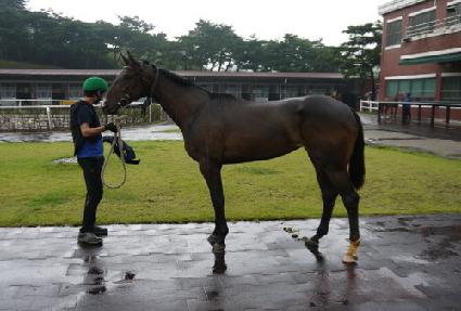 ���̿��� ����