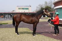 Ŭ�������� (CLEAN UP BINGO) ����