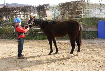 ���̿����� (I AM FOR YOU) ����