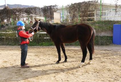 ���̿����� ����