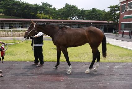 �ø� ����