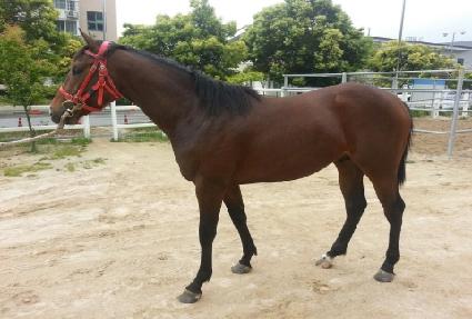 ���ǻ��� ����