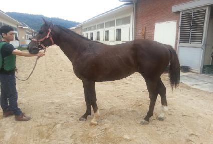 �������� ����