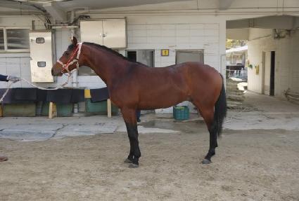 ��¼ӵ� ����