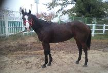 YEONSEUNG GONGJU picture