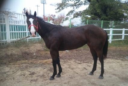 ���°��� ����